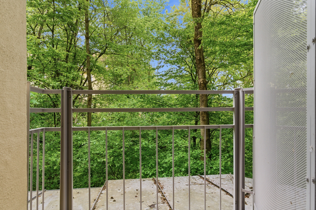 Aussicht vom Balkon in die Natur