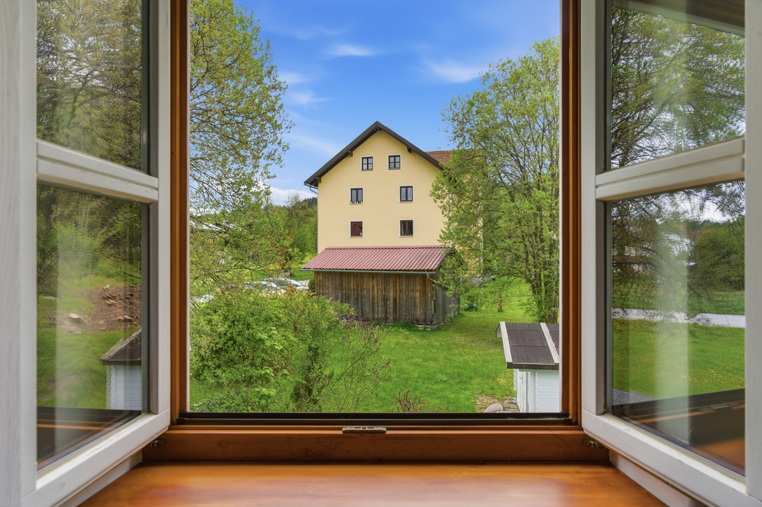 Altbau – Blick aus dem Fenster ins Grüne